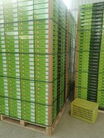 陕西猕猴桃出口印度尼西亚【Kiwi fruit export…