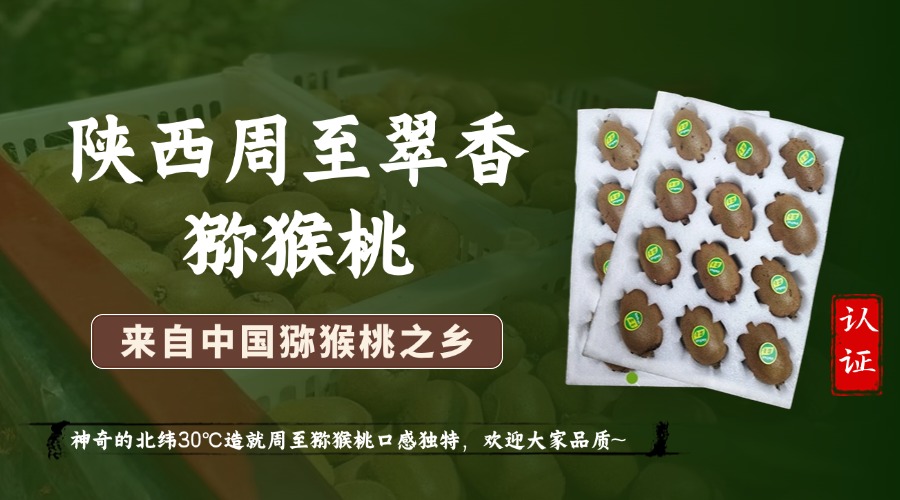 全国猕猴桃销售破局【周至猕猴桃