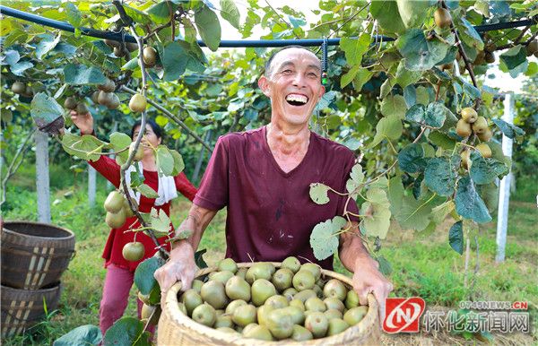 驻村扶贫办猕猴桃种植示范基地“