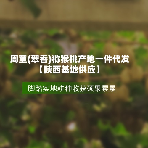 周至猕猴桃九月份即将上市！秦岭